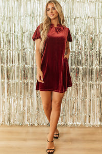 Cinnamon Velvet Smocked Neckline Puff Sleeve Shift Mini Dress