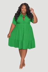 Plus Size GraceFit Polo Dress